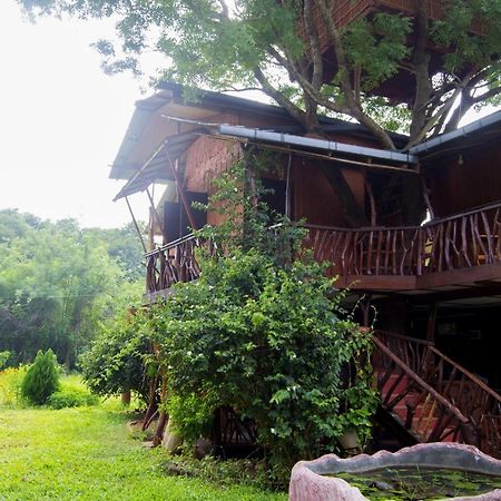 Anushka Nera Nature House Sigiriya Cameră foto