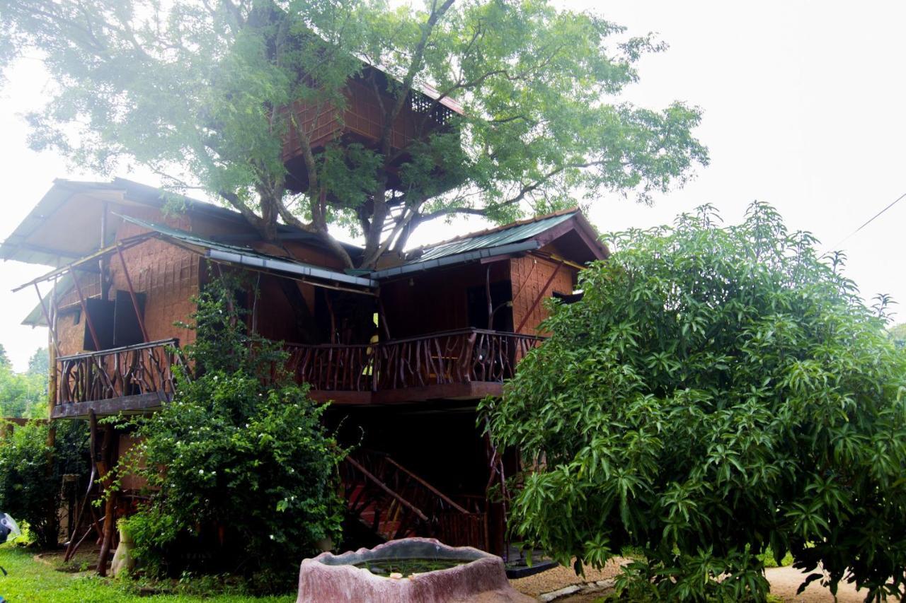 Anushka Nera Nature House Sigiriya Cameră foto